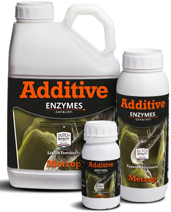 ENZYMES protection des racines